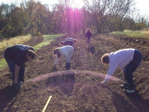 Prepping the soil. Taken by: Elizabeth Weir